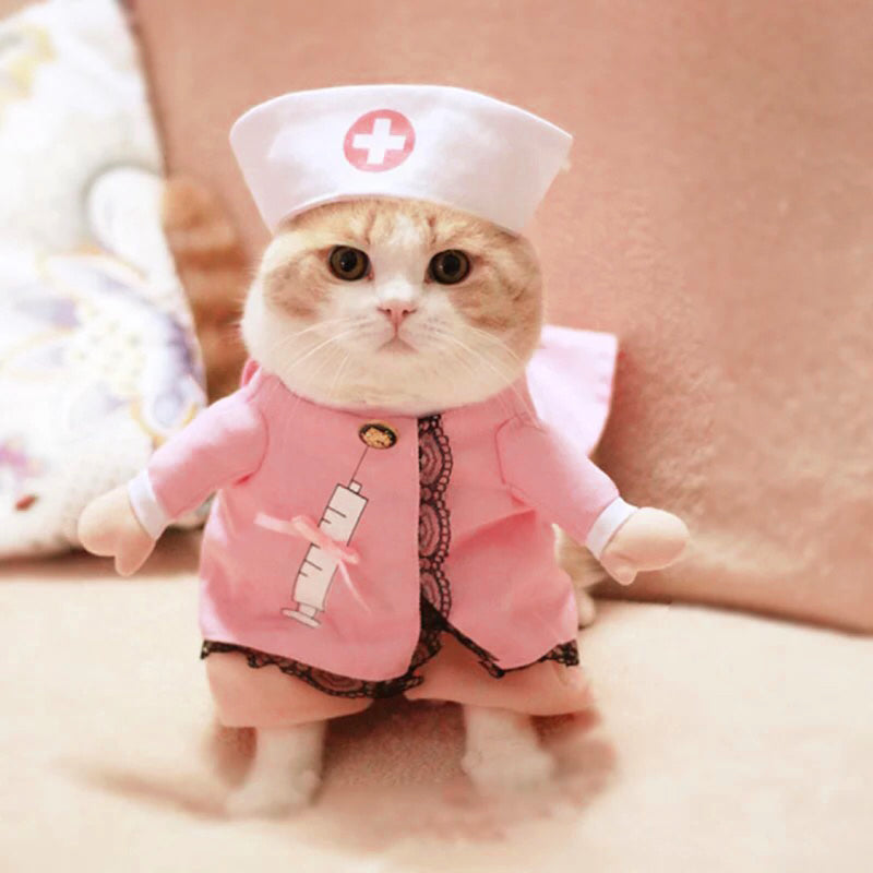 Funny Pet Costumes and Apparel for Pets