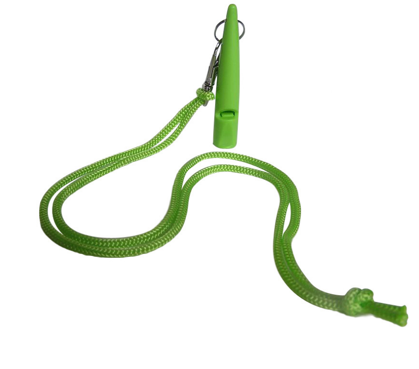 Pet Training Dog Whistle with Lanyard