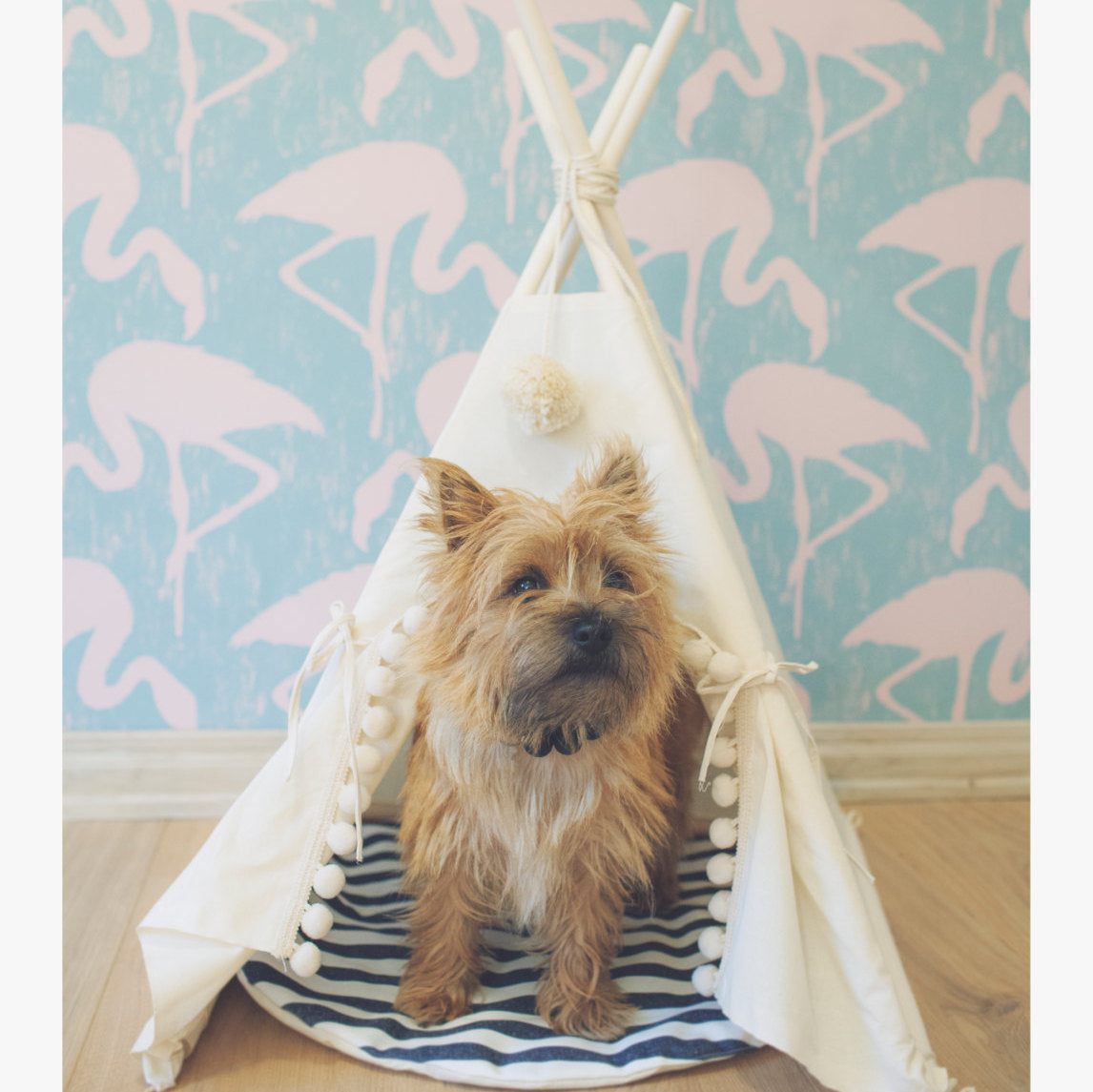 Pet Bed Tent with Breathable Wooden Frame for Dogs/Cats