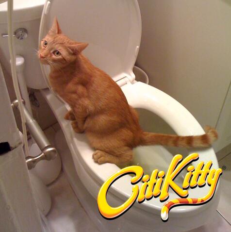 Cat Toilet Training Device