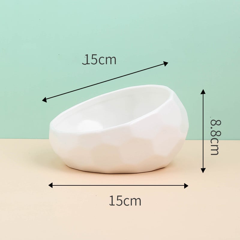 Ceramic Pet Bowl for Cats and Dogs with Oblique Mouth