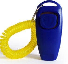 Multifunctional Pet Rattle Whistle Training Device