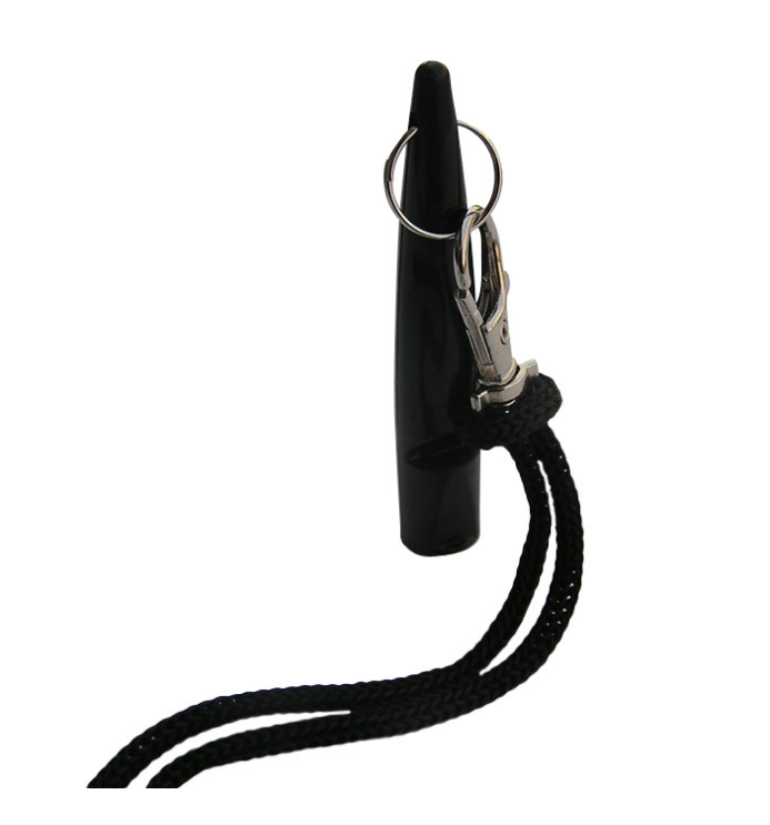 Pet Training Dog Whistle with Lanyard