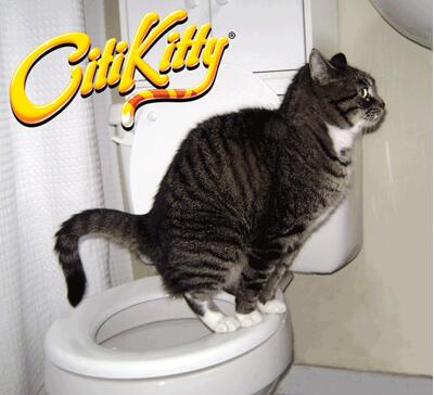 Cat Toilet Training Device