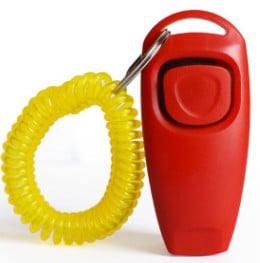 Multifunctional Pet Rattle Whistle Training Device